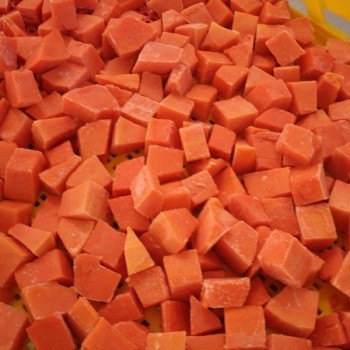 frozen carrot dice for sale